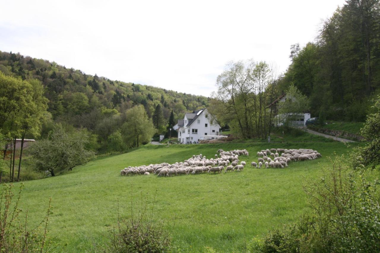 B&B Arlesbrunnen Egloffstein Esterno foto