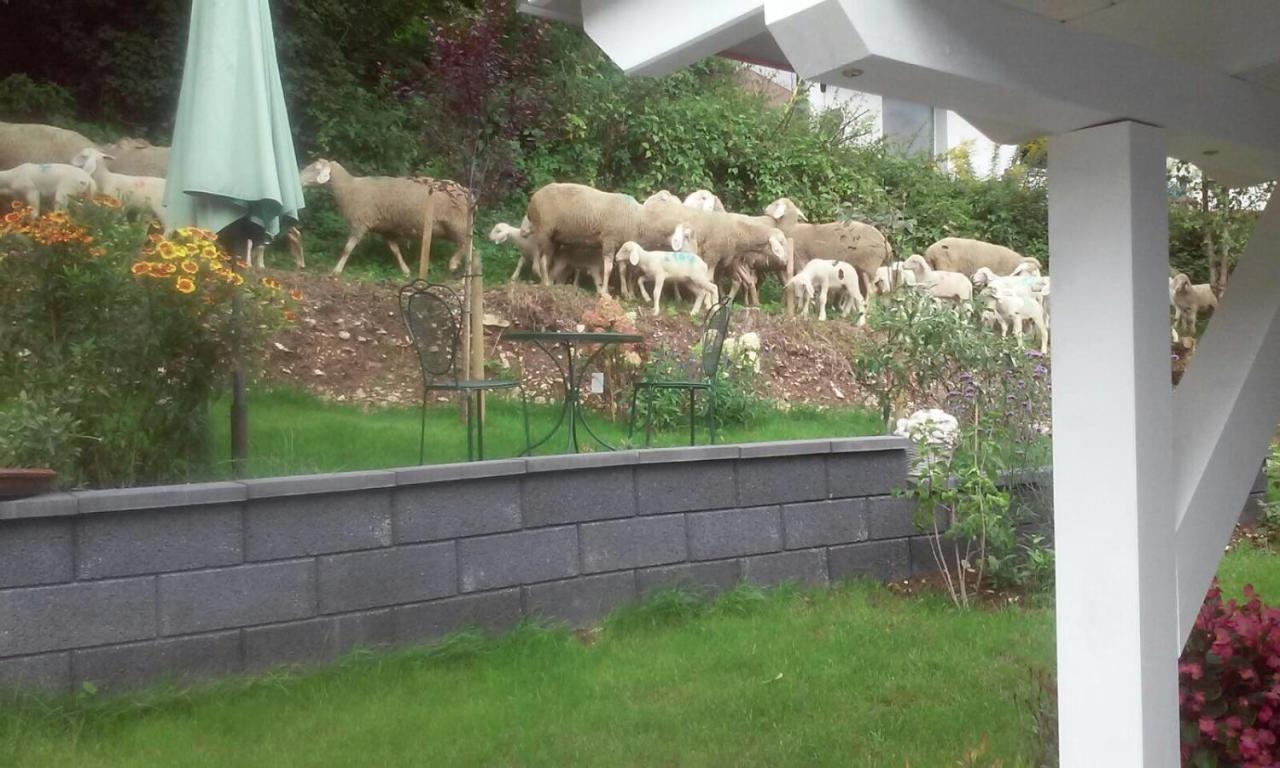 B&B Arlesbrunnen Egloffstein Esterno foto